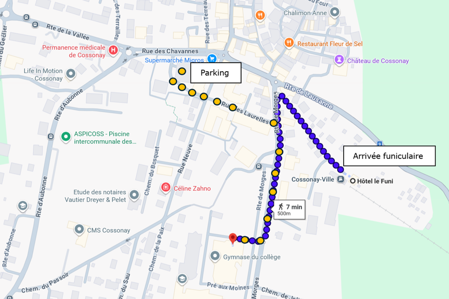 Carte - Google Maps - Cossonay